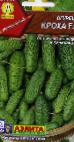 Photo Cucumbers grade Krokha F1