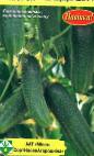 foto I cetrioli la cultivar Shhelkunchik F1