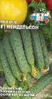 Photo des concombres l'espèce Mendelson F1