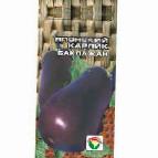 Photo Eggplant grade Yaponskijj karlik