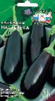 Photo Eggplant grade Nastenka