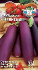 foto Le melanzane la cultivar Sirenevyjj