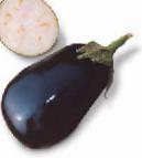 Photo Eggplant grade Tirreniya F1