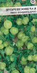 Bilde Hage blomster Ballong Vine, Elsker I En Puff, Heartseed (Cardiospermum halicacabum), hvit