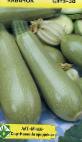 foto Le zucchine la cultivar Sote-38