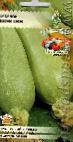 foto Le zucchine la cultivar Kventin