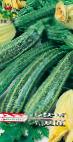 foto Le zucchine la cultivar Udalojj