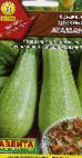 foto Le zucchine la cultivar Ataman