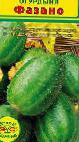 zdjęcie Melon gatunek Fazano (ogurdynya)