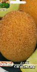 Photo un melon l'espèce Simpatiya