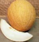 Photo un melon l'espèce Bonzhur F1