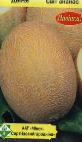 foto Il melone la cultivar Svit ananas