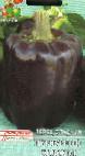 Photo des poivres l'espèce Purpurnyjj kolokol