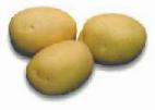 Photo Potatoes grade Cilvana