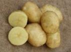 Photo Potatoes grade Sprint