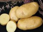 Photo Potatoes grade Impala
