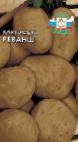 foto La patata la cultivar Revansh