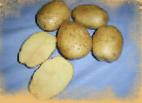 Foto Krumpir kultivar Uladar