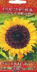 Foto Sonnenblume klasse Solnechnyjj krug