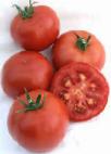 Photo Tomatoes grade Madera F1