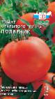 Foto Los tomates variedad Polyarnik