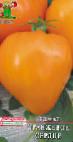 foto I pomodori la cultivar Oranzhevoe serdce 