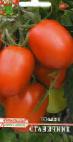 Foto Los tomates variedad Stanichnik 