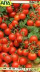 Photo Tomatoes grade Bayaya