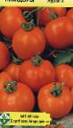Foto Los tomates variedad Auriga