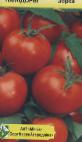 kuva tomaatit laji Zorka
