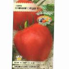 Photo des tomates l'espèce Ognennoe serdce F1