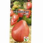 Foto Los tomates variedad Pudovik