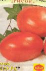 Photo Tomatoes grade Laura