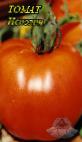 Foto Los tomates variedad Ispolin