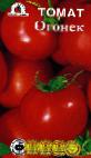 Photo des tomates l'espèce Ogonek