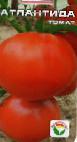 Photo des tomates l'espèce Atlantida