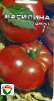 Photo Tomatoes grade Vasilina
