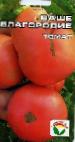 Foto Los tomates variedad Vashe blagorodie