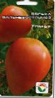 Foto Tomaten klasse Dolka dalnevostochnaya