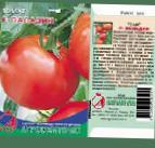 Photo des tomates l'espèce Paladin F1