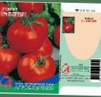 foto I pomodori la cultivar Vyatich f1