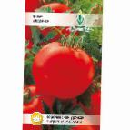 Photo des tomates l'espèce Uragan F1