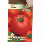 Photo des tomates l'espèce Finish