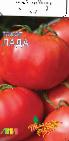 Photo des tomates l'espèce Lada F1