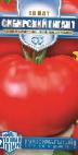 Photo Tomatoes grade Sibirskijj gigant