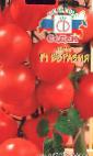 Foto Los tomates variedad Evraziya F1