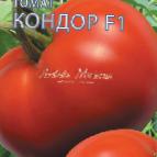 foto I pomodori la cultivar Kondor F1