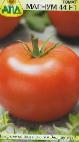 Photo Tomatoes grade Magnum 44 F1