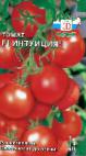 Foto Los tomates variedad Intuiciya F1