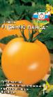 Photo des tomates l'espèce Sancho Pansa F1